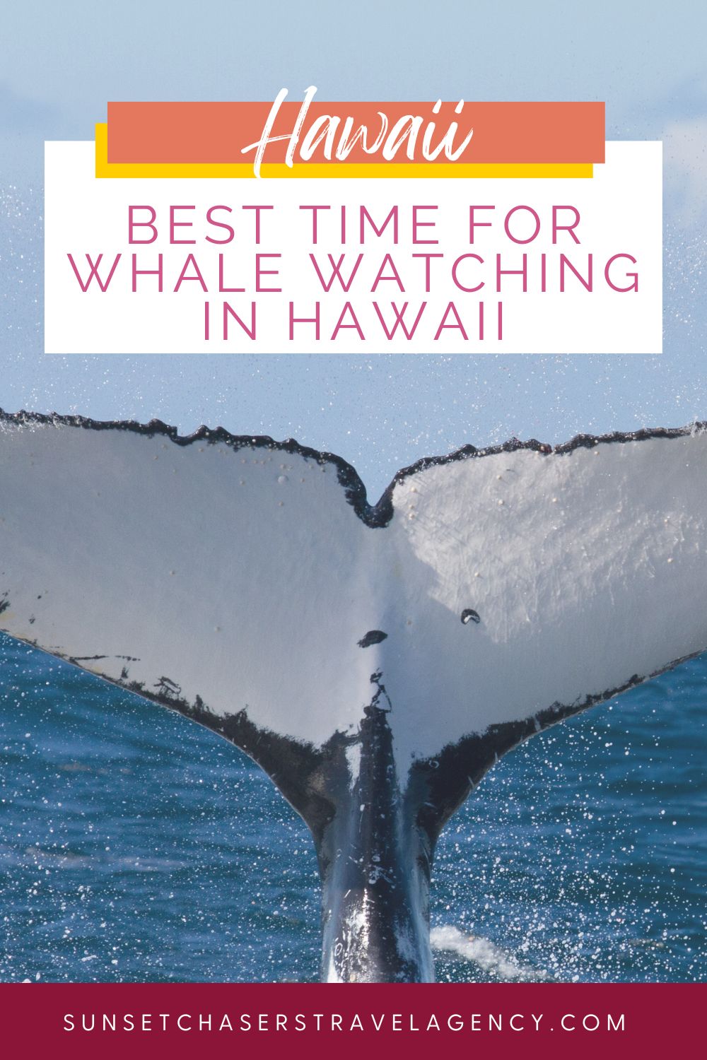 Best Time for Whale Watching in Hawaii